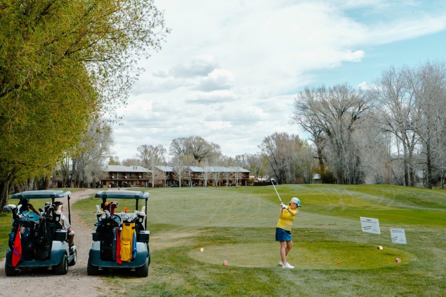 Golfer